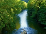 HerzWurzelTanz, Tanzen wie ich bin, Arlesheim, Meditation, Bewegung, Bewusstsein, Stefanie Heinis, Spiritualität