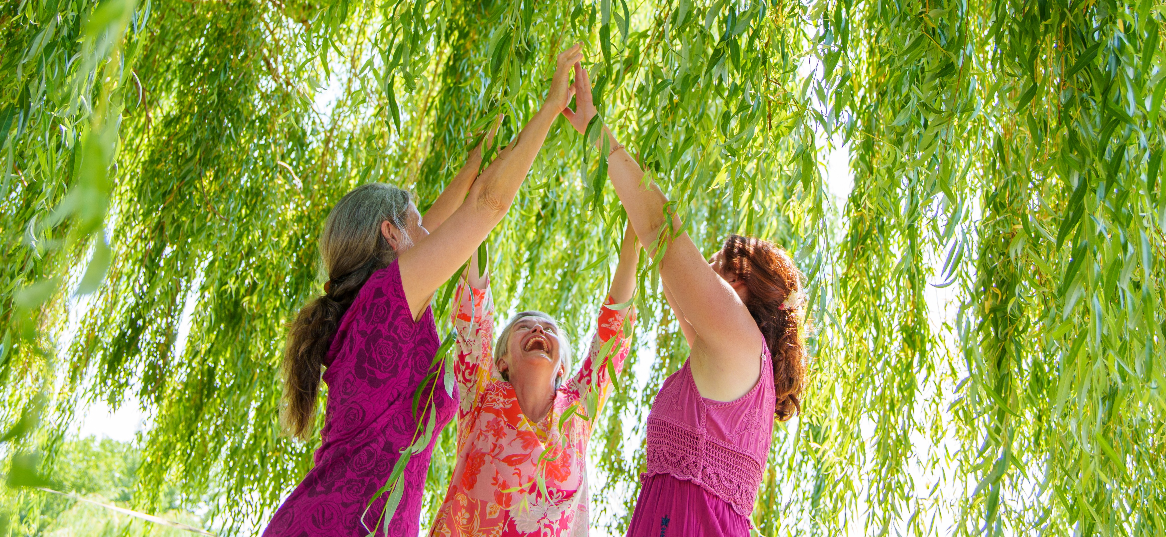 tanzen wie ich bin frauenkreis tanz meditation natur 