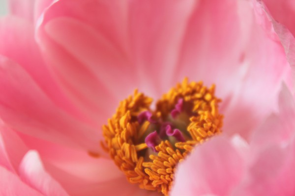 Tanzen wie ich bin, Blessed we are, Frauenkreise, Ausdruckstanz, Basel, Dornach, Stefanie Heinis