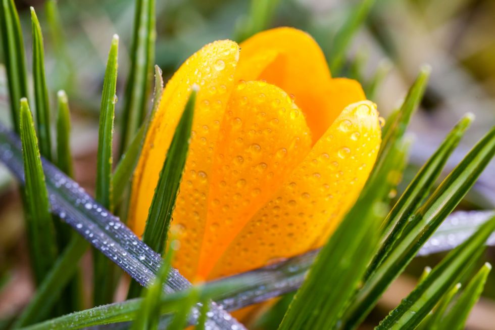 tanzen wie ich bin frauenkreis tanz meditation natur 