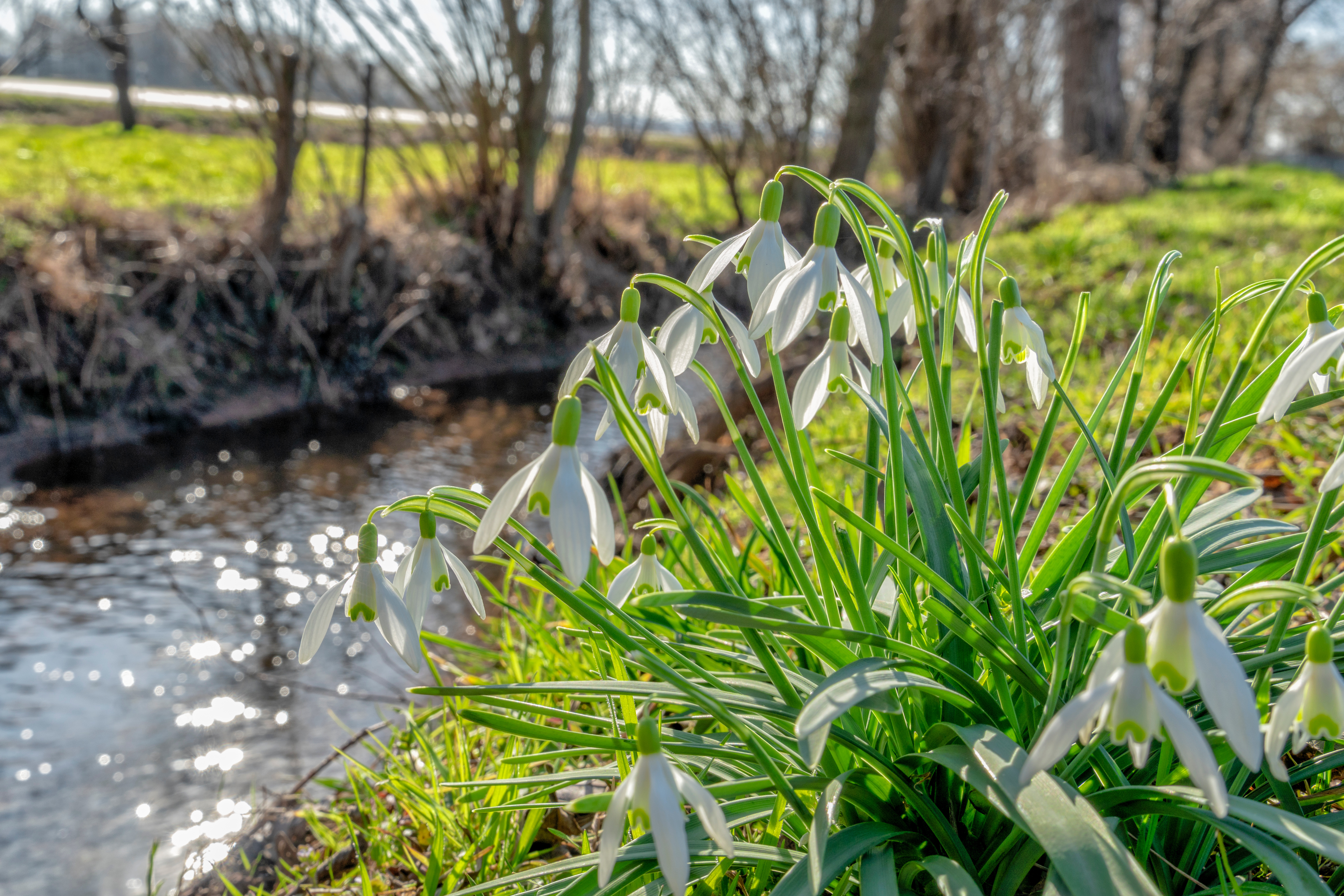 tanzen wie ich bin, im frauenkreis, tanztherapie für frauen, zyklus-liebe, weibliche ermächtigung, basel, arlesheim, stefanie heinis