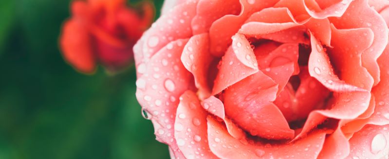 tanzen wie ich bin frauenkreis tanz meditation natur 