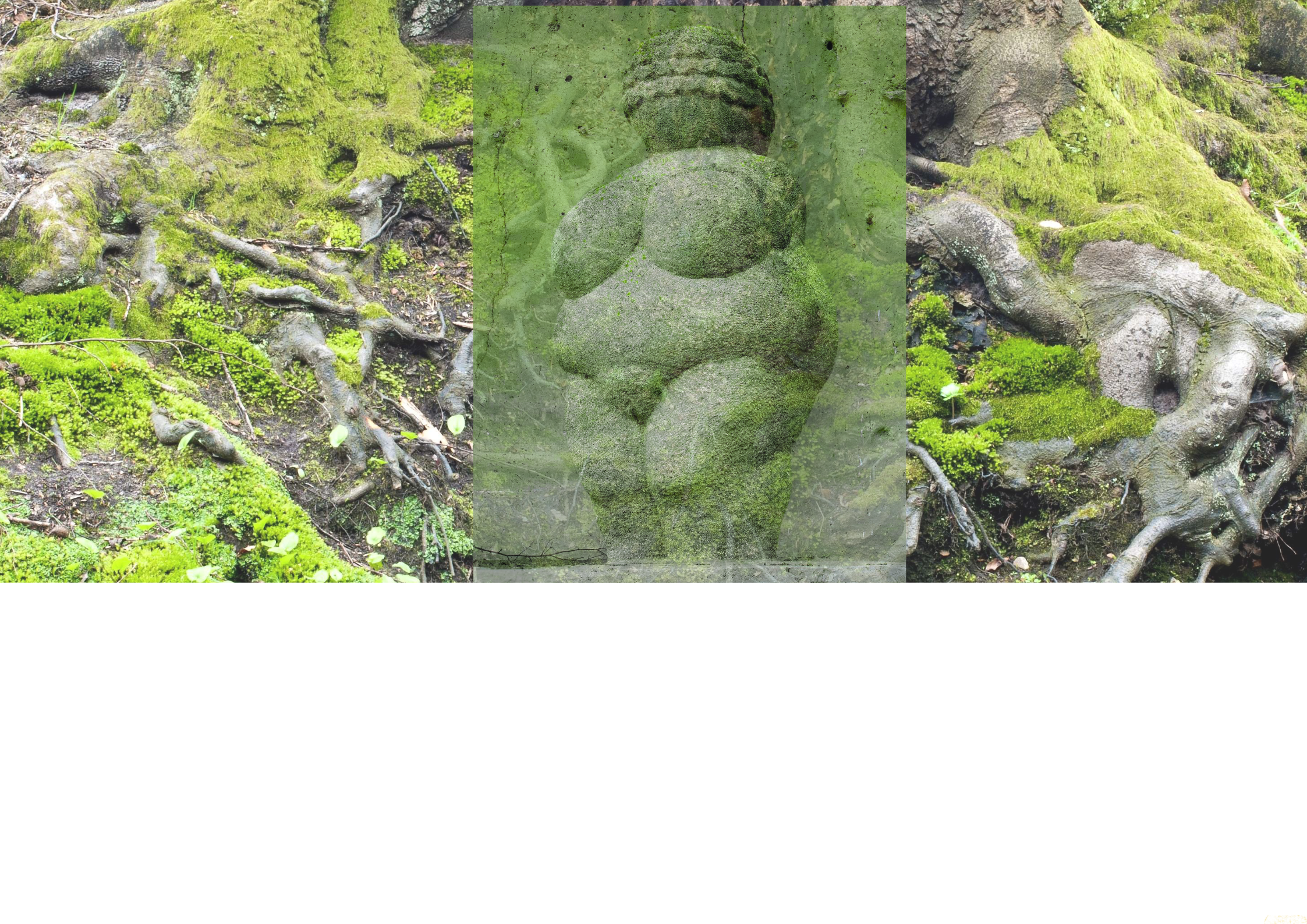 tanzen wie ich bin, frauenkreis, weiblicher zyklus, yin tanz, weiblichkeit, meditation, life-work-balance, natur 