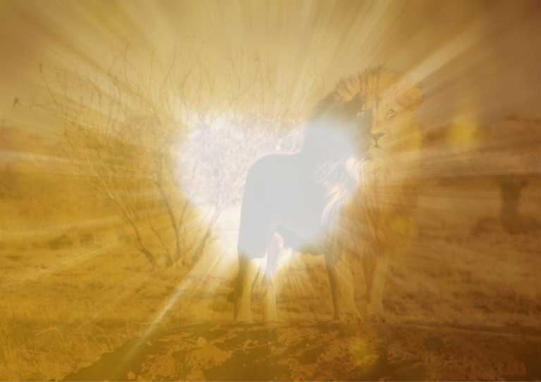 tanzen wie ich bin frauenkreis tanz meditation natur 