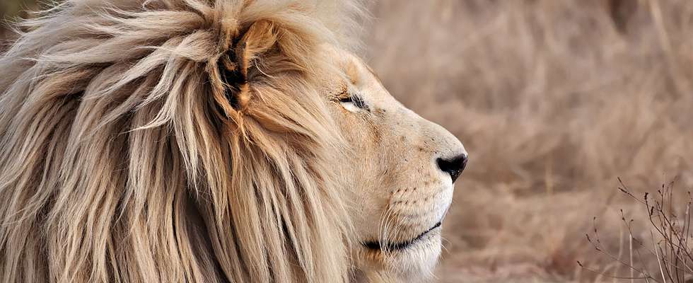 tanzen wie ich bin frauenkreis tanz meditation natur 