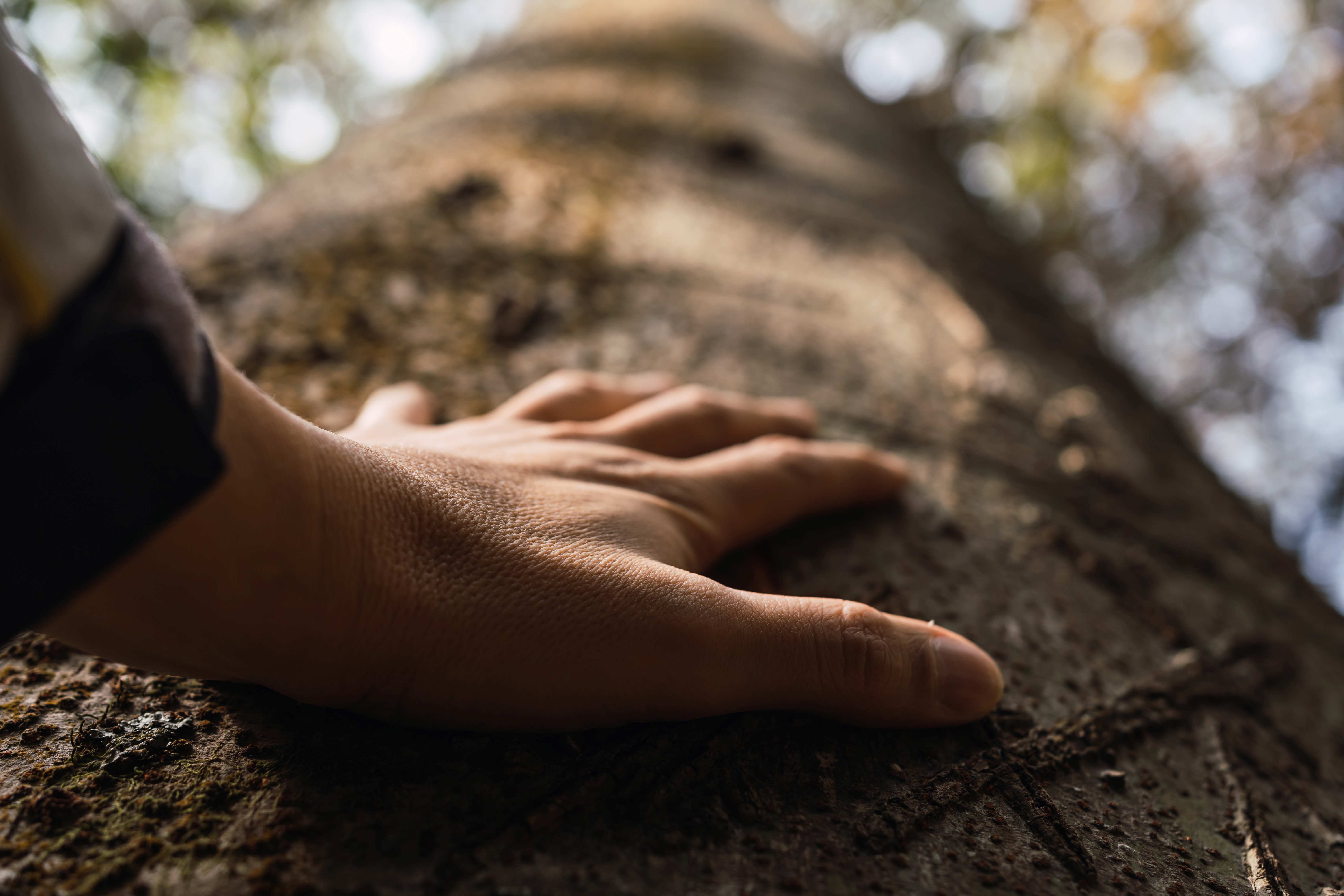 tanzen wie ich bin frauenkreis tanz meditation natur 