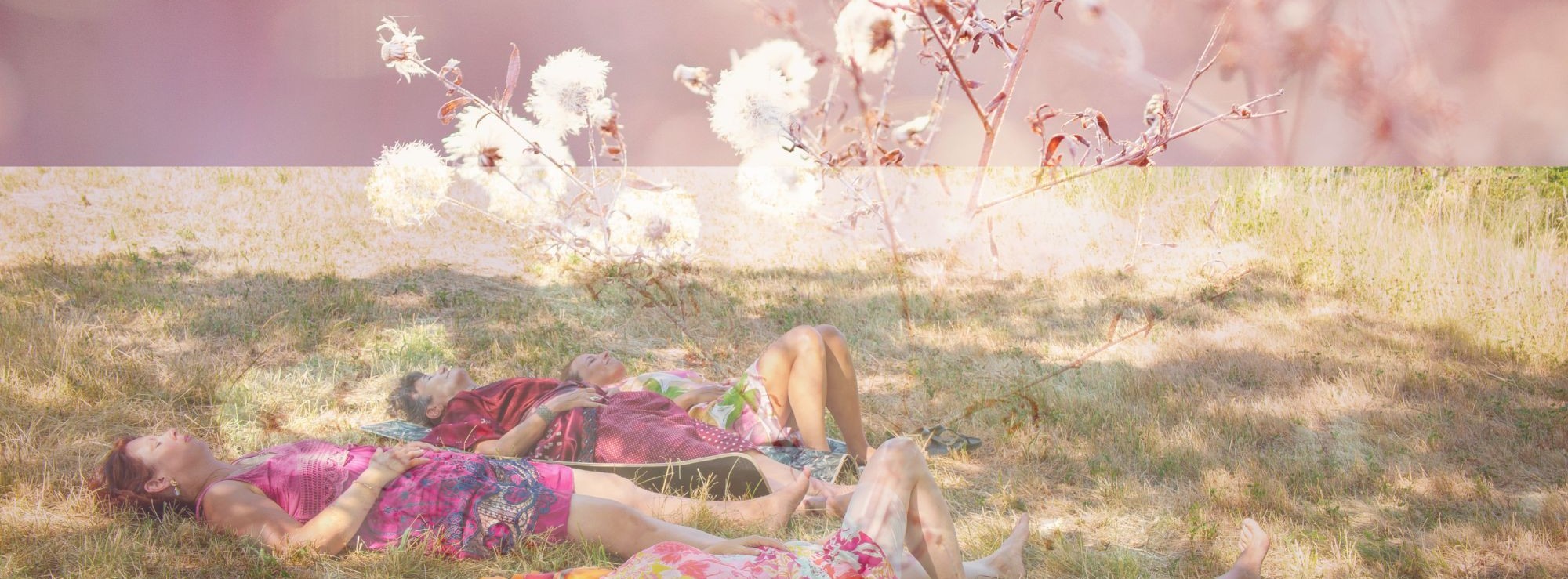 tanzen wie ich bin frauenkreis tanz meditation natur 