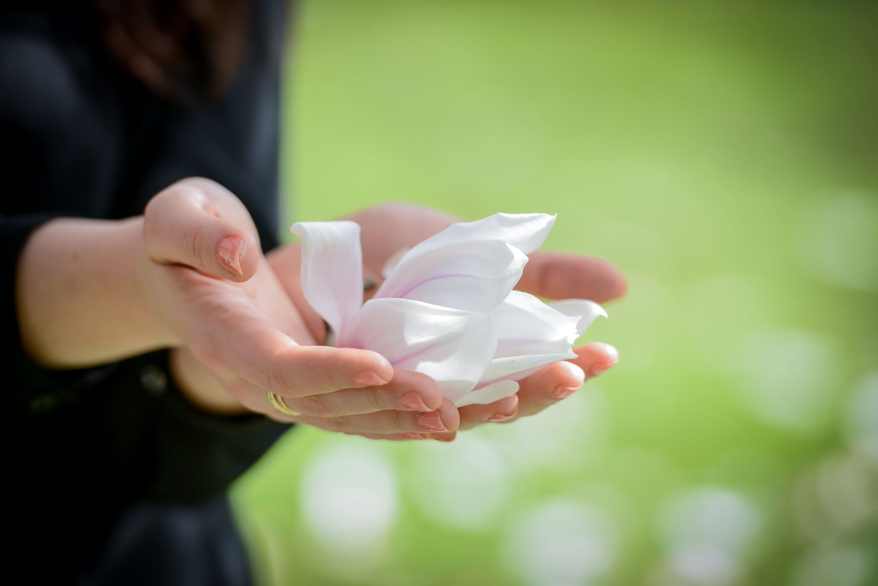 tanzen wie ich bin frauenkreis tanz meditation natur 