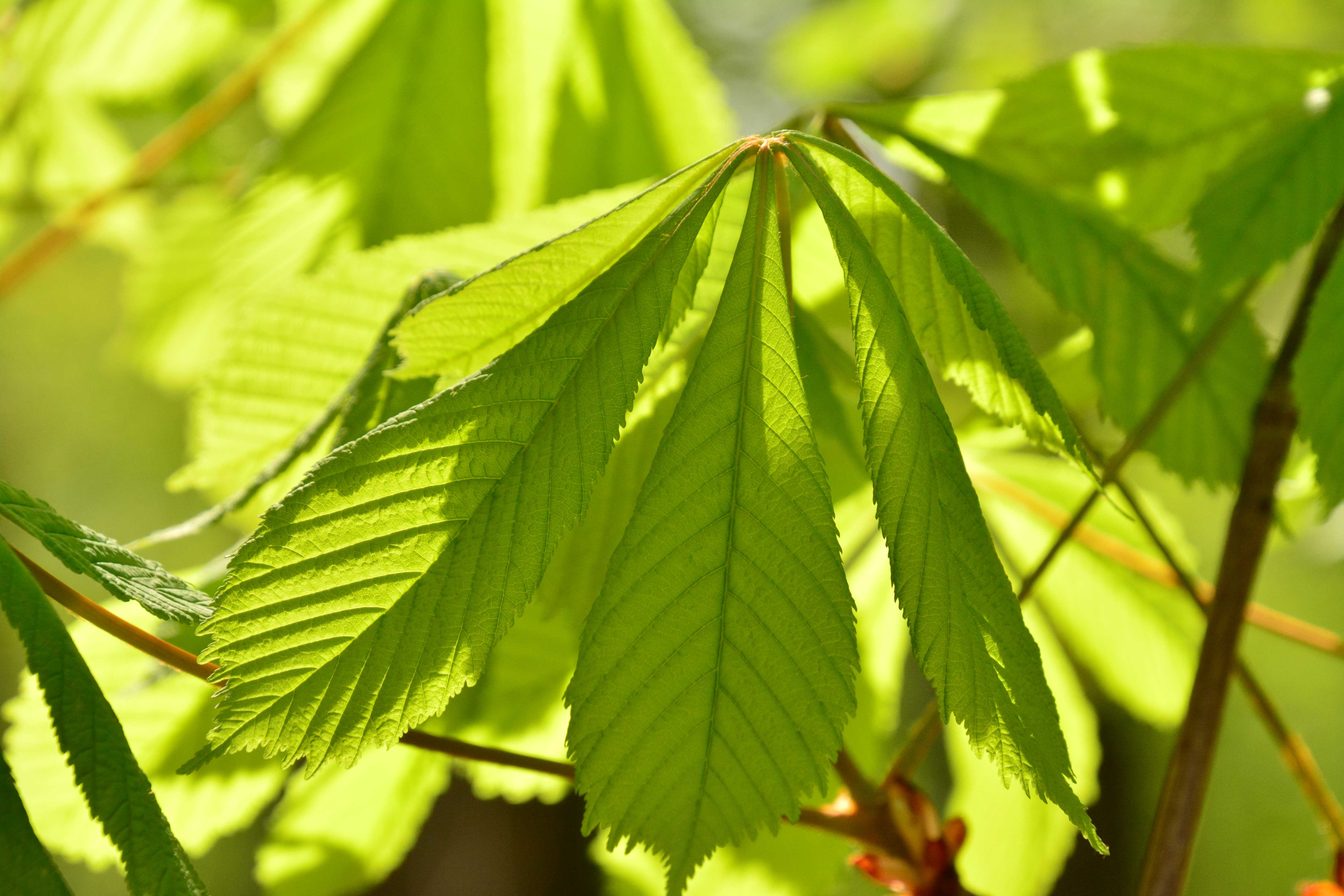 tanzen wie ich bin, im frauenkreis, tanztherapie für frauen, zyklus-liebe, weibliche ermächtigung, basel, arlesheim, stefanie heinis